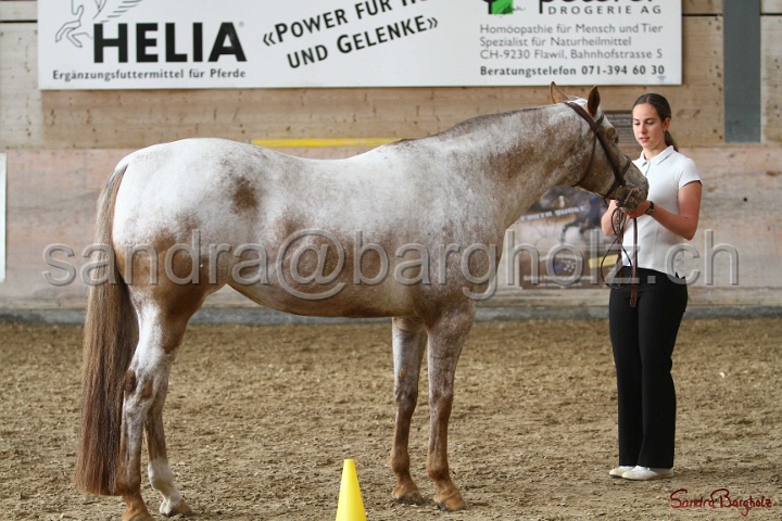 24-ApHC HIH_002.jpg